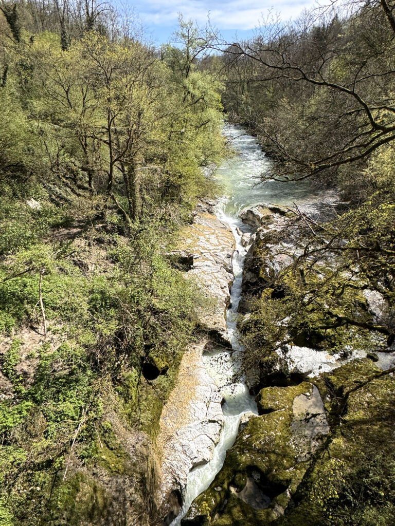 Top 10 Places in Southeastern France A rushing river flows through a narrow stone gorge carved into a rocky canyon floor, surrounded by lush green trees and forest foliage on a sunny day near Annecy, France