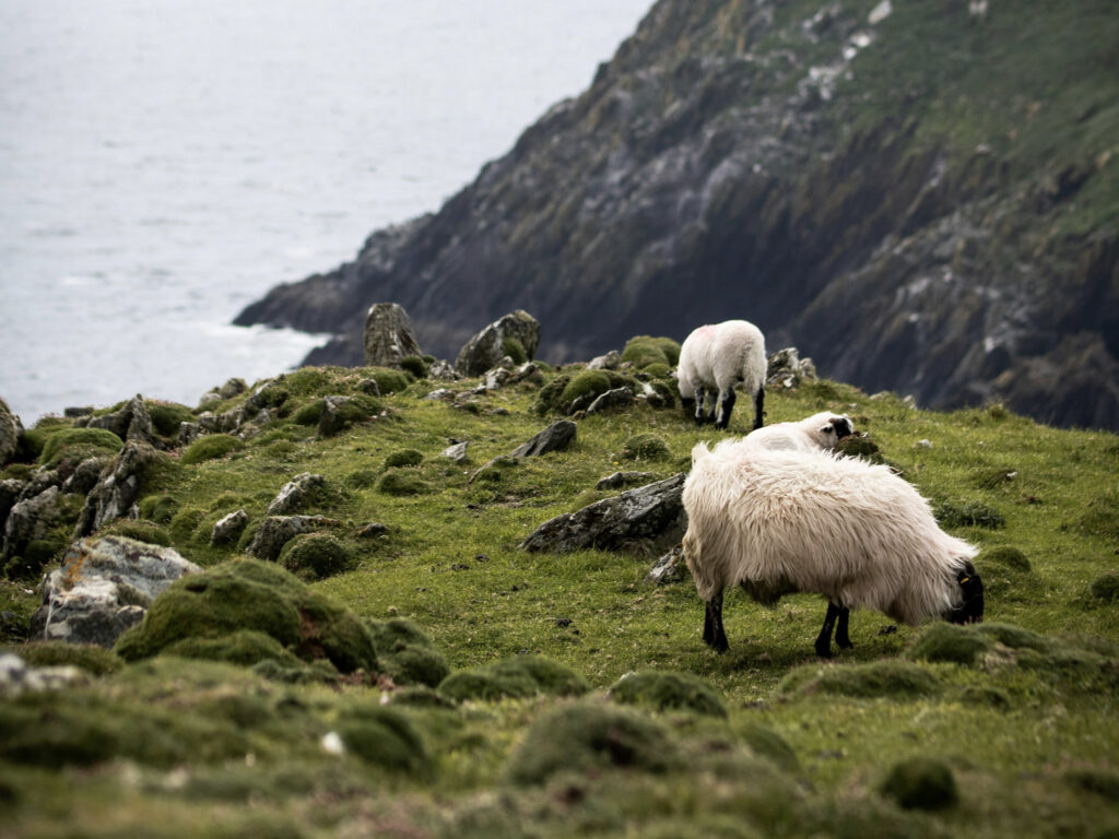 Best Attractions in Ireland ireland