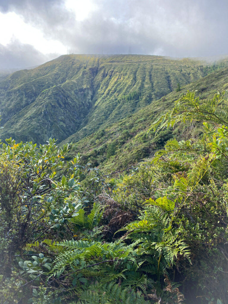 Top Things to Do in São Miguel, Azores Scenic mountain hiking trails and dramatic green valley landscapes on a São Miguel Island road trip.