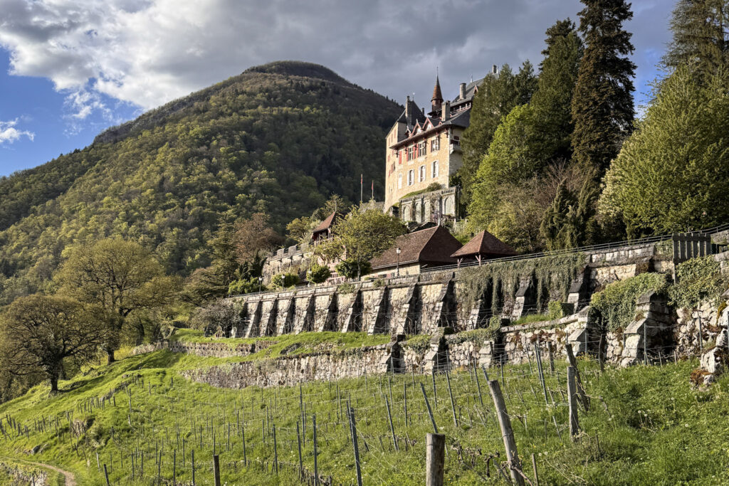 Top 10 Places in Southeastern France The historic stone Château de Menthon-Saint-Bernard castle sits nestled on a hillside surrounded by trees and terraced vineyards under a partly cloudy blue sky near Lake Annecy, France