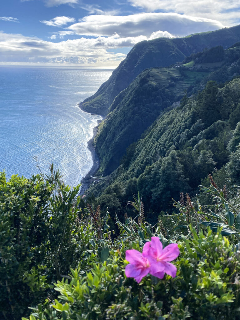 Top Things to Do in São Miguel, Azores Steep, forest-covered green mountains and sea cliffs plunging into the deep blue Atlantic Ocean under a partly cloudy sky at Miradouro da Ponta do Sossego, São Miguel, Azores.
