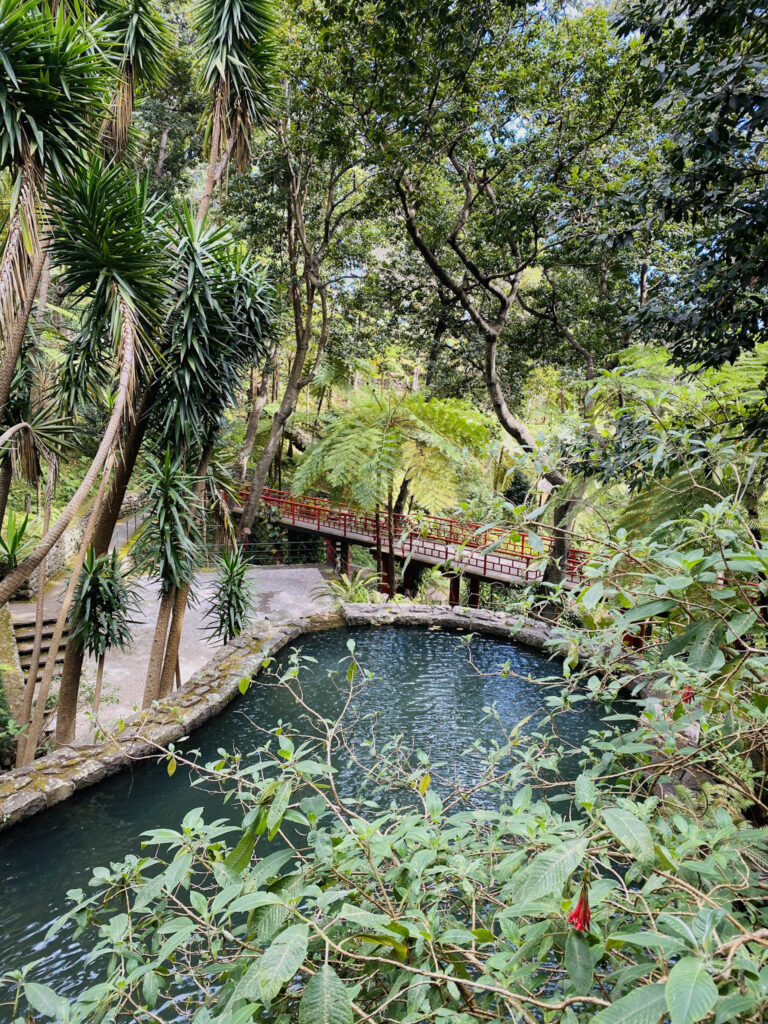 Madeira Travel Guide A stone-lined water channel winding through thick green trees and spiky palms, with a red wooden footbridge in the background at Monte Palace Tropical Garden.