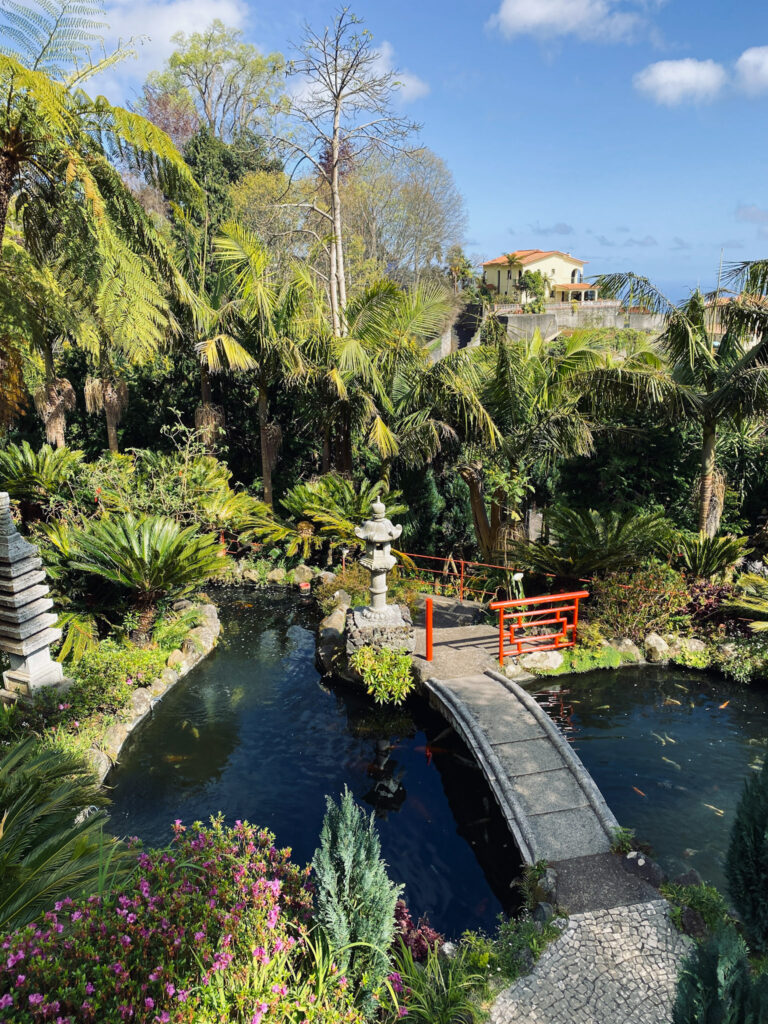 Madeira Travel Guide Koi pond and stone bridge at Monte Palace Tropical Garden in Madeira.