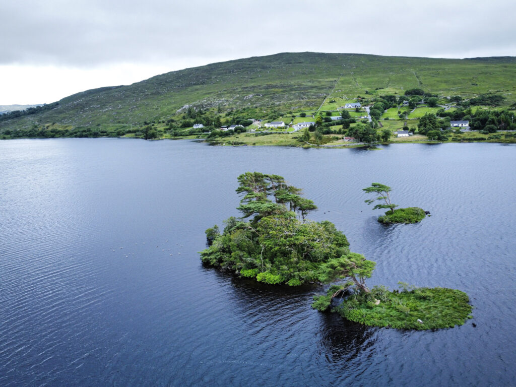 Best Attractions in Ireland pine island 01