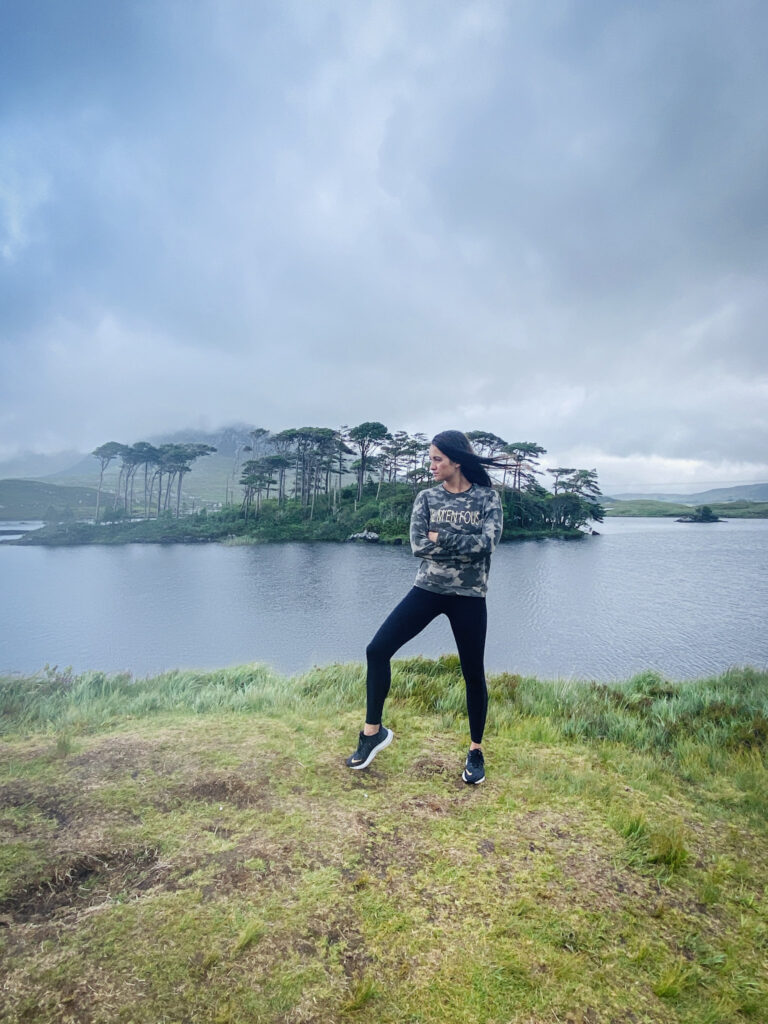 Best Attractions in Ireland pine island 03