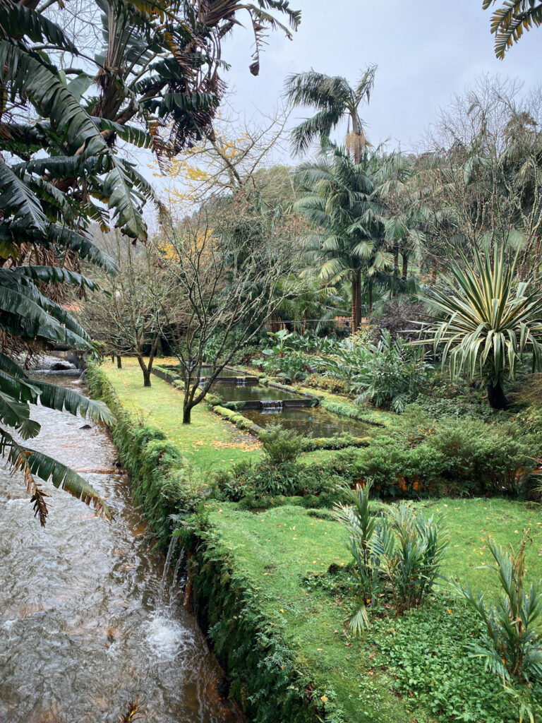Top Things to Do in São Miguel, Azores A clear stream flowing alongside stone-walled water canals, surrounded by lush palm trees, banana plants, and manicured green lawns at Parque Terra Nostra in Furnas, São Miguel, Azores.