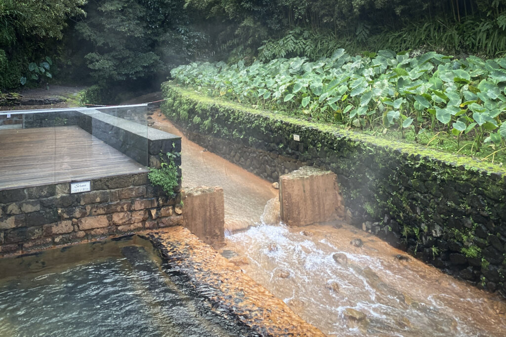 Top Things to Do in São Miguel, Azores Stone thermal bath pool sitting alongside a rushing, orange iron-rich stream framed by lush green taro leaves and stone walls at Poça da Dona Beija in Furnas, São Miguel, Azores.