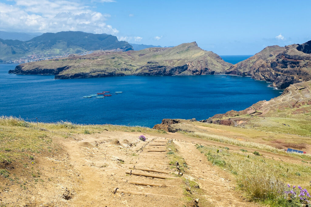 Madeira Travel Guide A rustic wooden log staircase on a sunny, grassy hillside leading down toward a deep blue ocean bay with fish farming pens, set against the dramatic rolling volcanic landscape of Ponta de São Lourenço, Madeira.