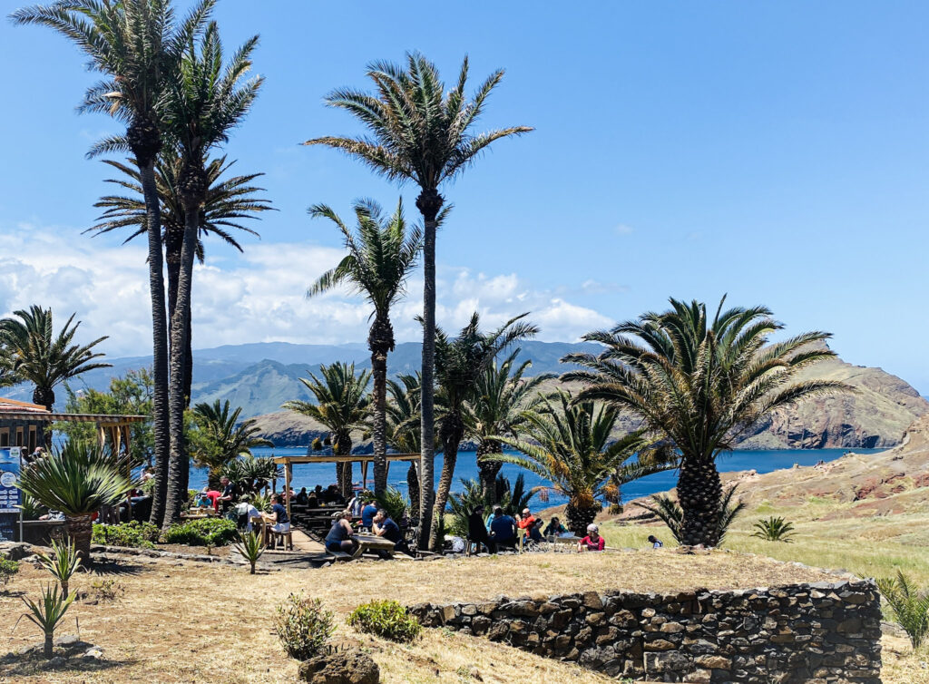 Madeira Travel Guide Hikers relaxing at outdoor picnic tables within a lush, palm-lined oasis at the Casa do Sardinha Sea Spot Cafe courtyard along the Ponta de São Lourenço trail in Madeira.